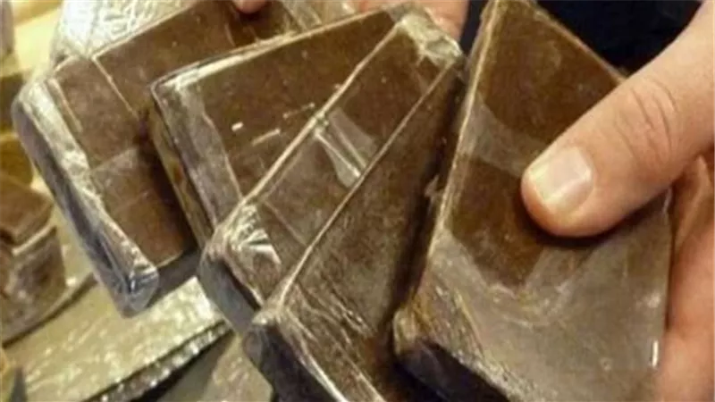 ضبط 300 طربة حشيش وكمية من الهيروين بحوزة عنصرين إجراميين بالبحيرة