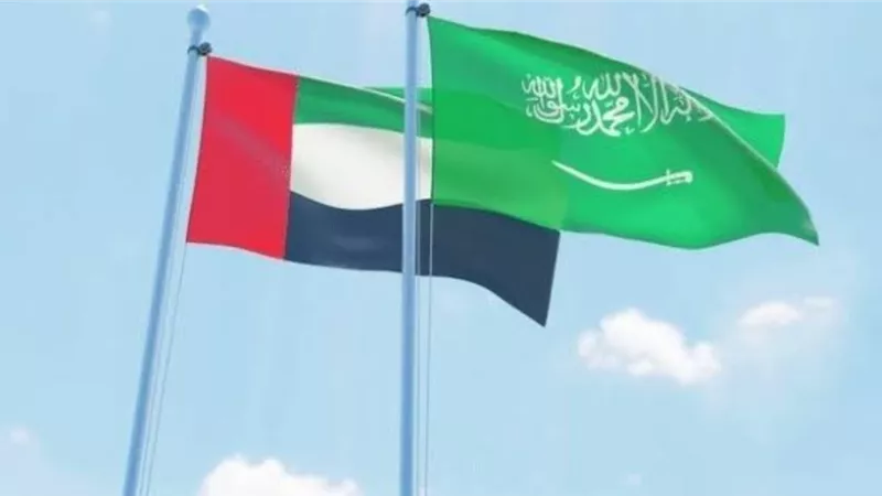 وزير خارجية الإمارات: استقرار السعودية يصب في صالح المنطقة العربية بأكملها