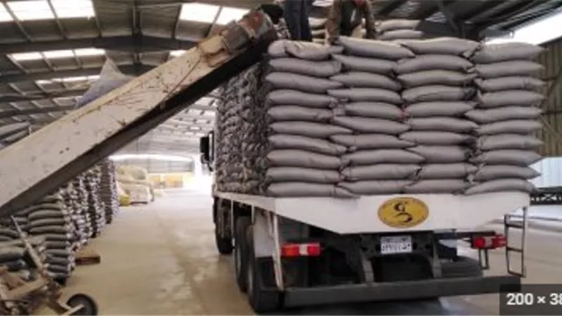 الزراعة.. استمرار العمل بمحطات الإعداد و الغربلة للتقاوي على مستوى الجمهورية فى أيام العطلات