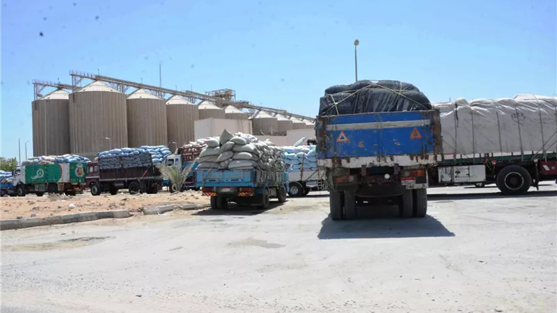 وكيل تموين المنيا : المزارعون وردوا اكثر من 18 الف طن من القمح