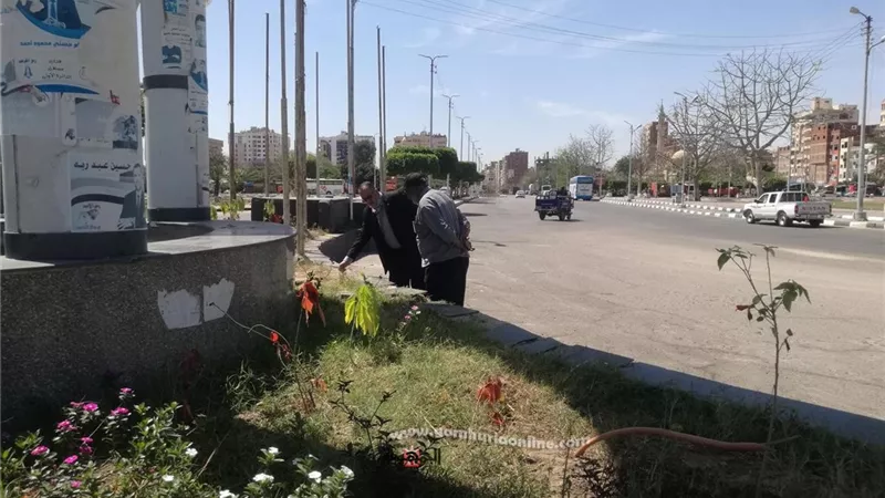 تطهير خطوط الصرف الصحى ورفع كفاءة الشهر العقارى بحى ثان الاسماعيلية