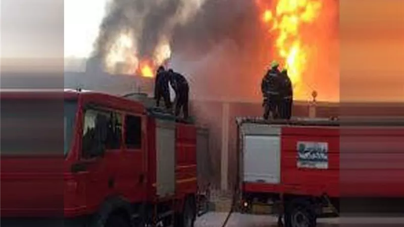 نفوق عدد من المواشى فى حريق بقنا