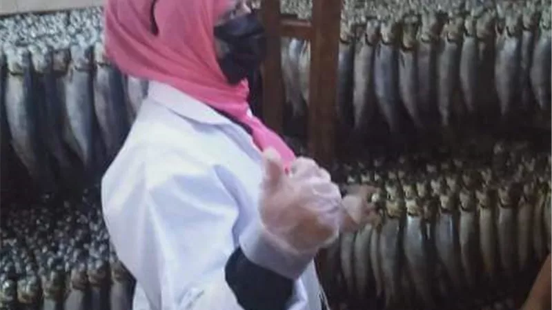 ضبط طن ونصف أسماك وجمبرى ولحوم ودهون كبده ودجاج مخالفة بالشرقية