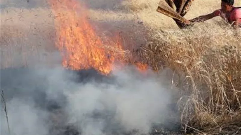 حريق يلتهم فدان قمح فى قنا