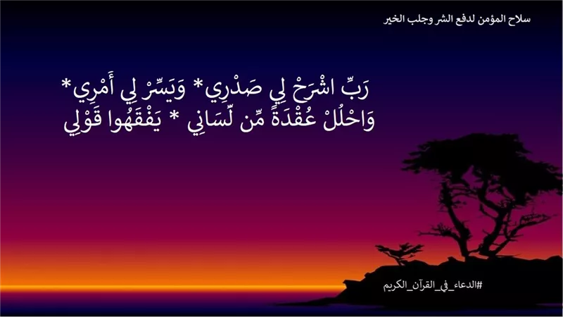 رَبِّ اشْرَحْ لِي صَدْرِي وَيَسِّرْ لِي أَمْرِي .. سلاح المؤمن لدفع الشر وجلب الخير