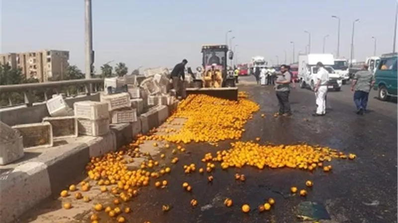 إنقلاب سيارة محملة بالفاكهة على الطريق الزراعي بالقليوبية