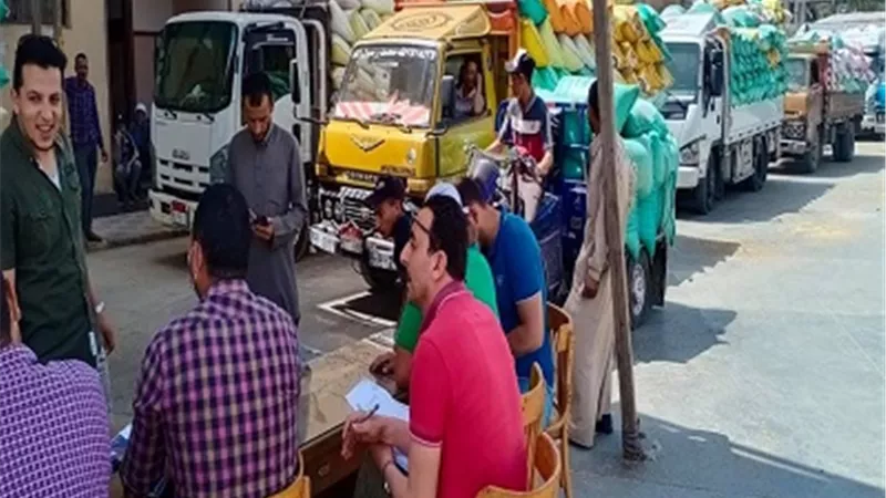استمرار توريد محصول القمح لمطاحن كفرالشيخ