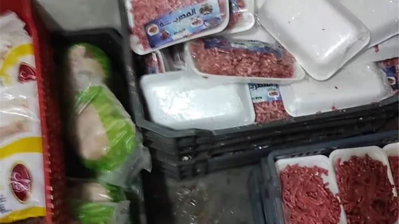 ضبط ١3 طنا من اللحوم والدواجن والأسماك غير الصالحة للاستهلاك الآدمى بالمنوفية .. بالصور