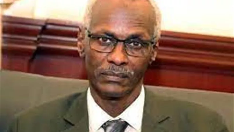 بالفيديو.. وزير الري السوداني: سد النهضة يشكل تهديدا لنصف سكان السودان