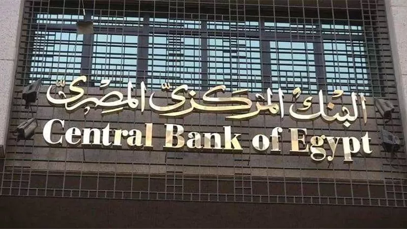 تخطى 20 مليون محفظة.. خدمات الاقراض والادخار عن طريق الهاتف المحمول