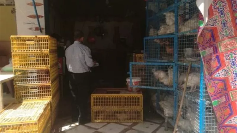 حملات تفتيش لترشيد اهدار المياه بأسواق الإسماعيلية ..صور