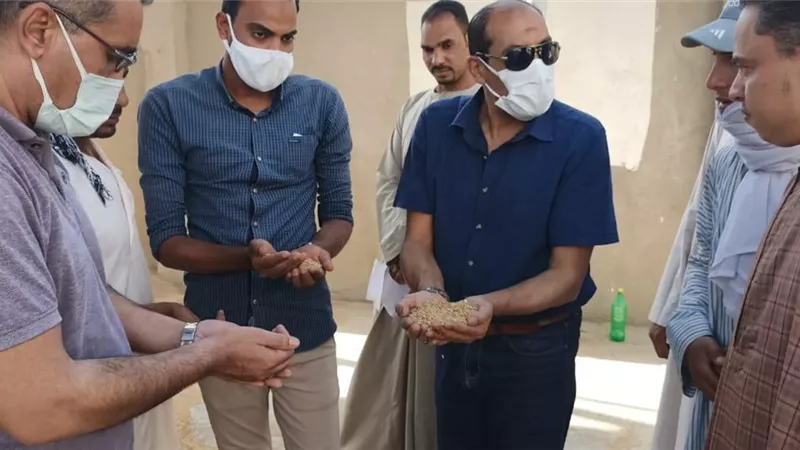 تحرير ١٥٧ محضر ومخالفة تموينية فى الأقصر