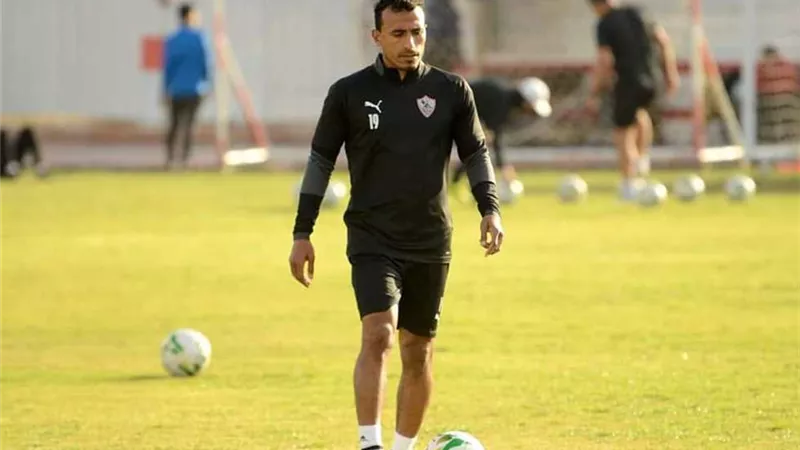 محمد عبد الشافى ..