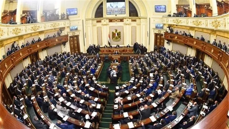 أزمة تكليف خريجي صيدلة دفعتي 2018/2019 على مائدة صحة النواب الأحد المقبل