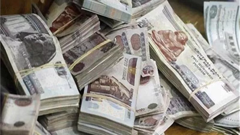 الداخلية تضبط قضايا اختلاس بقيمة 871 مليون جنيه