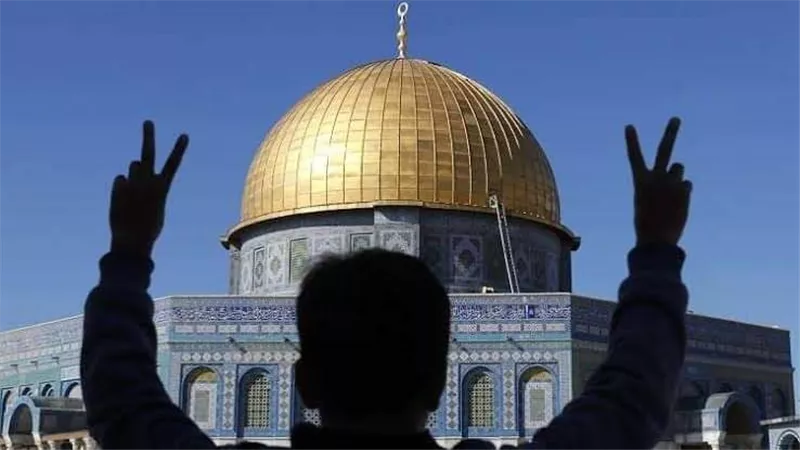 النجوم يتفاعلون مع هاشتاج 