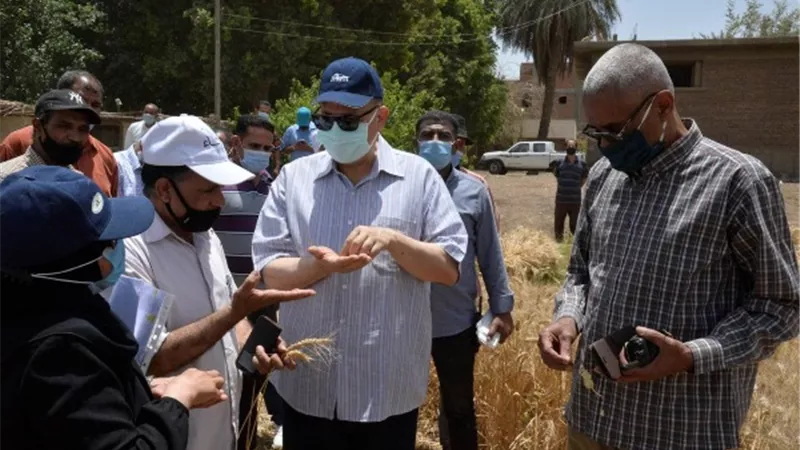 محافظ أسيوط يتفقد حصاد محصول القمح.. ويوجه بتحفيز المزارعين لتوريد المحصول للشون والصوامع