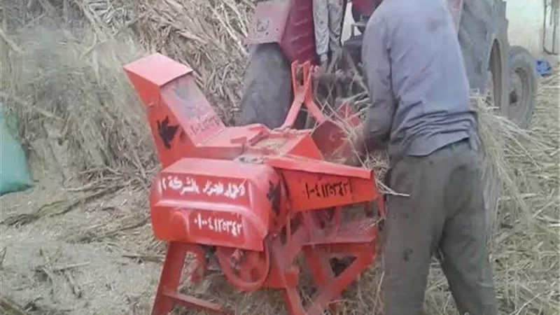 بتر يد عامل بماكينة درس الارز بالدقهلية