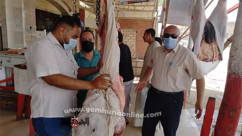 ضبط واعدام لحوم ومواد غذائية منتهية الصلاحية وغير صالحة للاستخدام الآدمي بالسادات