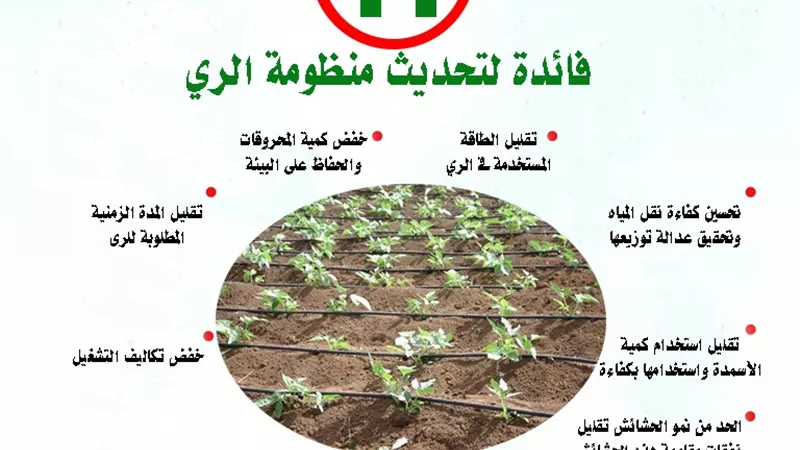 الزراعة تصدر انفوجراف ارشادي لتوعية المزارعين بأهمية التحول لنظم الري الحديث