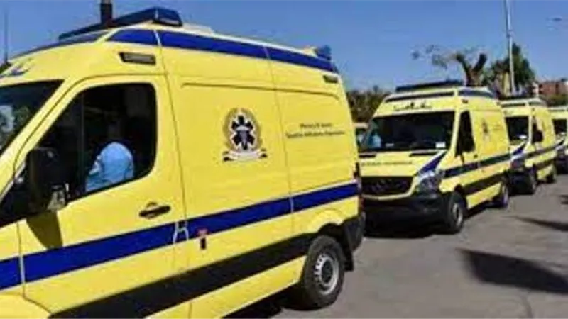 نائب: نشر 2190 سيارة إسعاف على الطرق ورفع الاستعداد للدرجة القصوى في جميع المستشفيات
