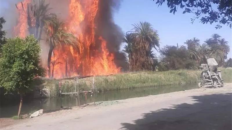 حريق بالزراعات في عضايمة الأقصر