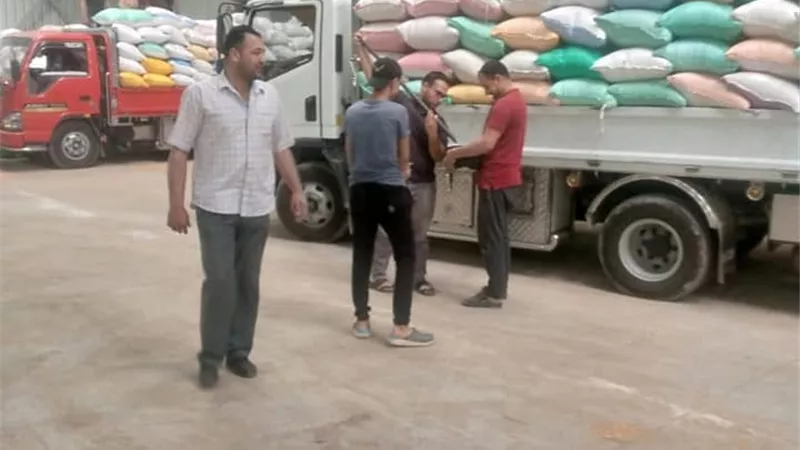 استمرار توريد محصول القمح بكفر الشيخ