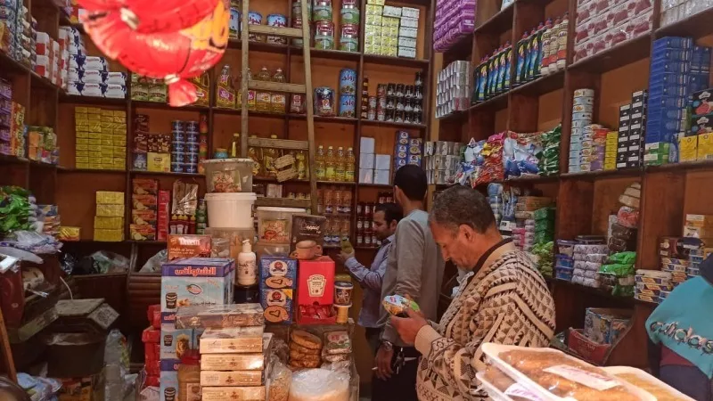 ضبط 282 كجم دواجن غير صالحة للاستهلاك الآدمي بمنوف