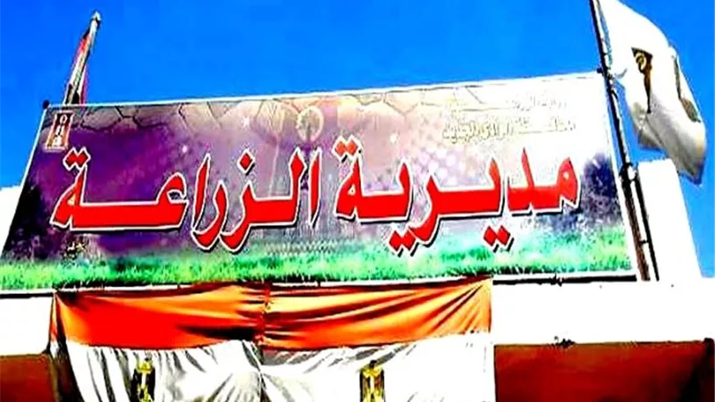 زراعة الوادى الجديد تعلن عن مسابقة بحثية لطلاب الجامعة والتعليم الفنى.. بالصور