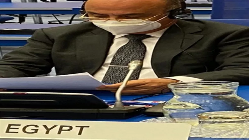 وزير العدل يستعرض أمام الأمم المتحدة إنجازات مصر بشأن إجراءات التقاضي ورفع كفاءة المنظومة القضائية بما يعزز حقوق الإنسان