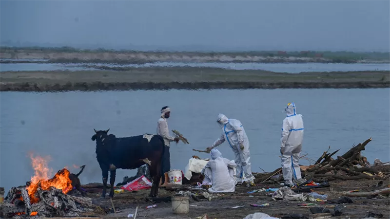 شباك في النهر بالهند لالتقاط جثث المتوفين بكوفيد19