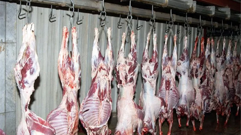 بيطرى المنيا يضبط 12 حالة ذبح خارج المجازر