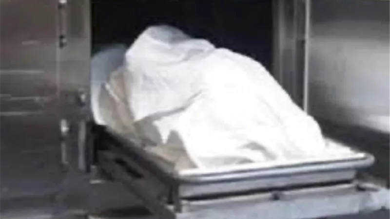 مصرع سباك فى تصادم موتوسيكل ونقل فى الدقهلية