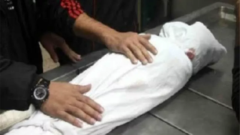 مصرع طفلة واصابة ٥ في تصادم ملاكي وتروسيكل بالدقهلية