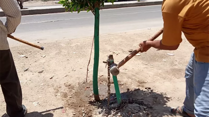 ازالة حواجز حديديه بحى المعصره لرفع كفاءة الطرق