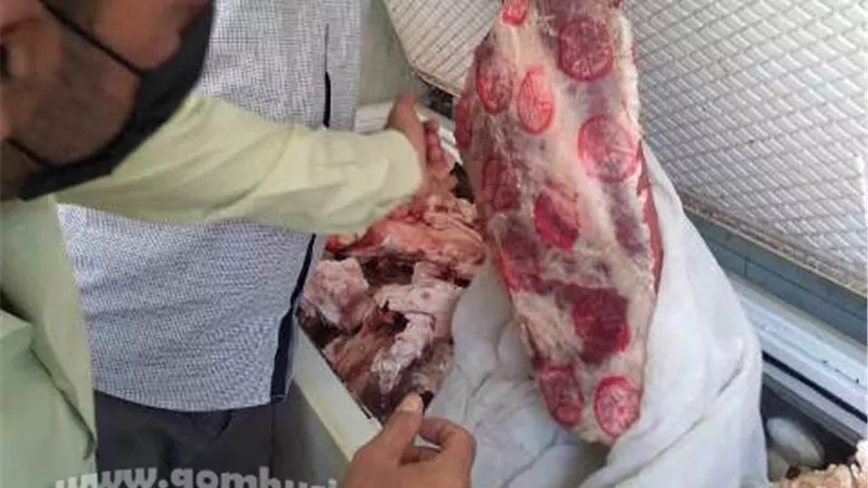 ضبط 342 كيلو من اللحوم والطيور الفاسدة بالشرقية