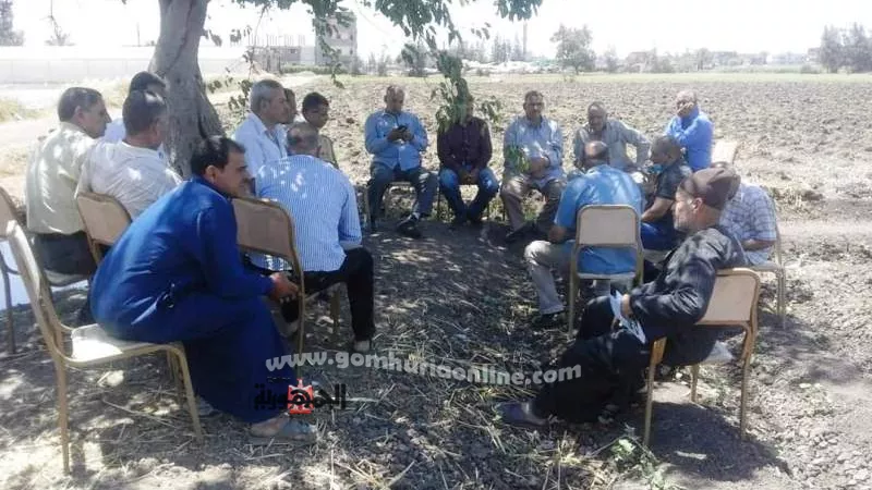 ندوة إرشادية عن زراعة محصول القطن بقرية بالشرقية