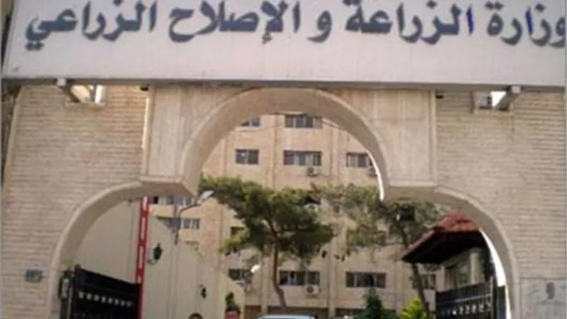 نائب وزير الزراعة يبحث مع مديري مديريات الطب البيطري الوضع الحالي للتحسين الوراثي للماشية