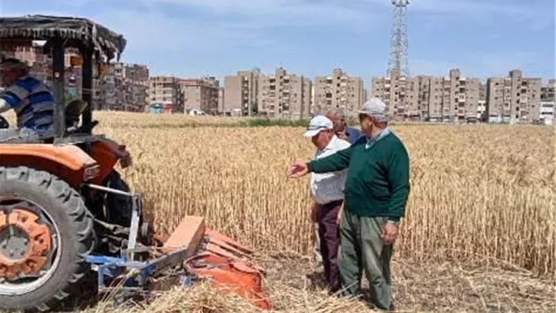 محافظ الشرقية يتابع توريد القمح بالشون والصوامع
