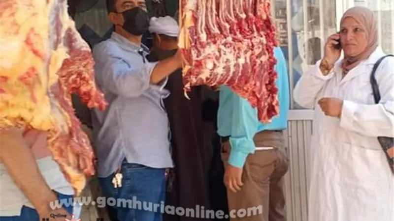 ضبط 28 كجم لحوم مذبوحة خارج السلخانة و 21 كجم غير صالحة للاستهلاك الآدمى بالباجور ... صور