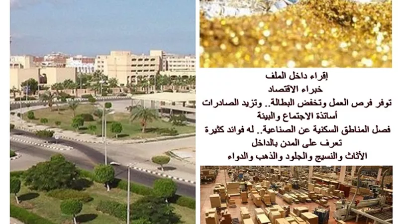 دولة 30 يونيو.. شكل تاني