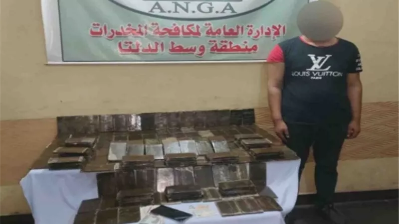 250 طربة حشيش بمليون و750 ألف جنية بحوزة عنصر إجرامى بالغربية