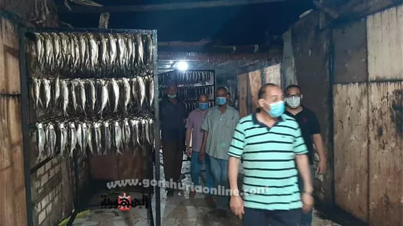 ضبط لحوم وأسماك غير صالحة للاستخدام الآدمى بـ 