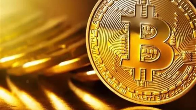 البتكوين تجذب الأنظار العالمية بعد انهيار القيمة السعرية