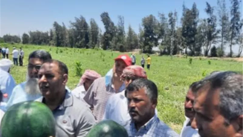 الزراعة تنظم يوم حقلي لتقاوي وانتاج البطيخ