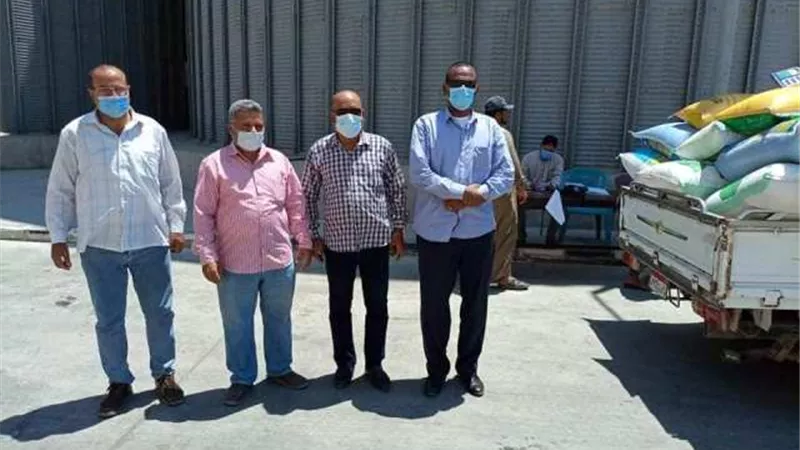 صوامع القنطرة شرق بالإسماعيلية تستقبل ١١ ألف طن قمح ..صور