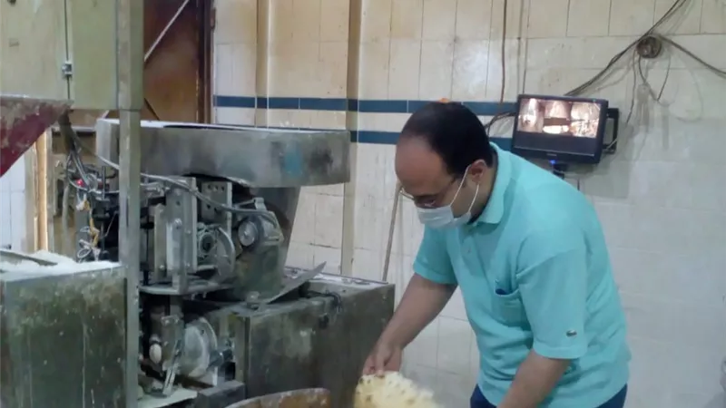 ضبط ٨ مخابز مخالفة باجا بالدقهلية