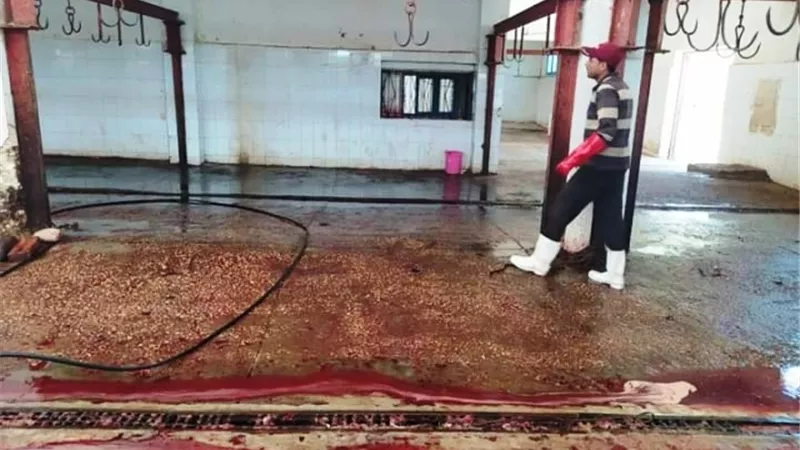 صحة مطروح تتابع اشتراطات الجبانات والمجزر.. بالصور