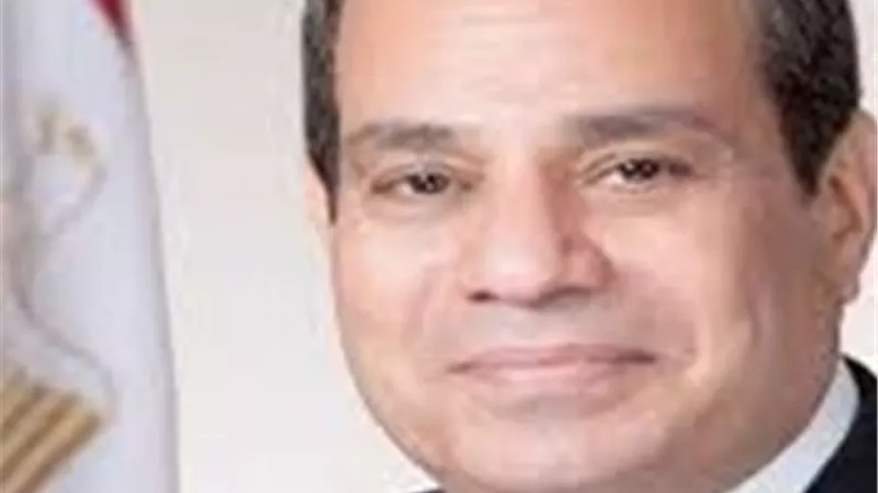 كل التقدير لجهود القاهرة مع جميع الأطراف.. لإنهاء التصعيد في الأراضي الفلسطينية
