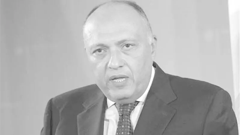 الخارجية: مصر تؤكد رفضها أي إجراءات أحادية أثيوبية بشأن سد النهضة